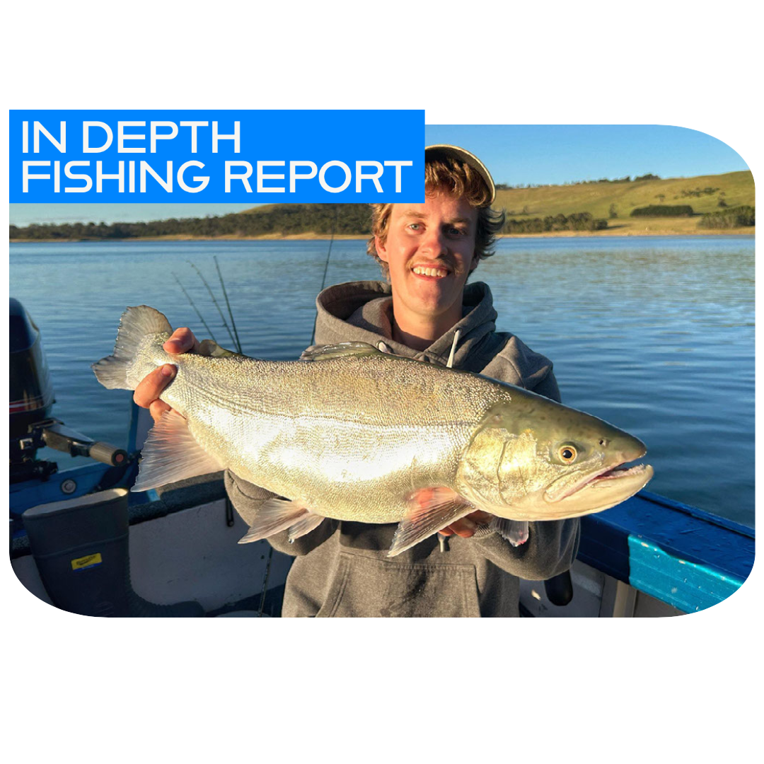 Richardson Marine  In Depth Fishing Report 22/12