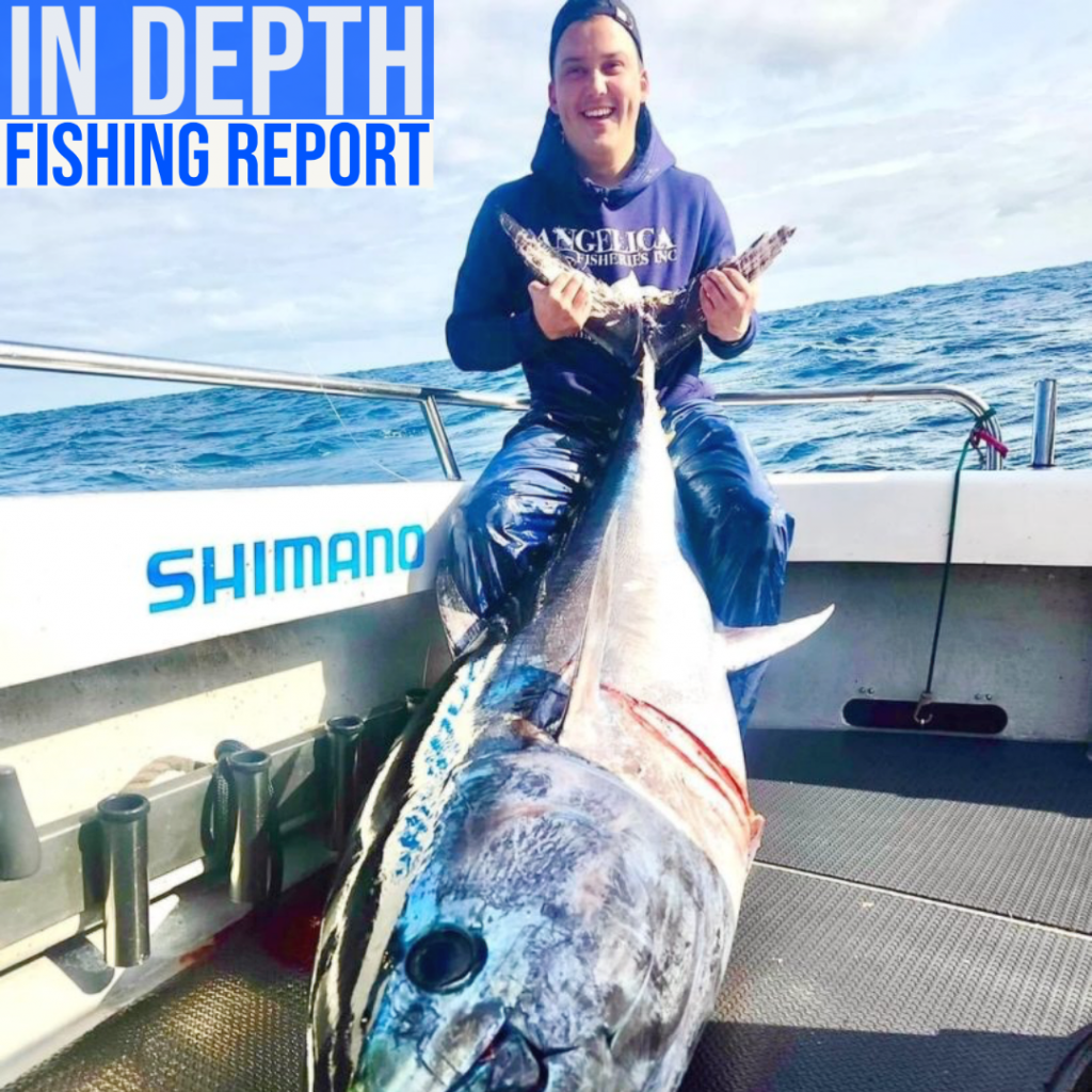 In Depth Fishing Report 25/8