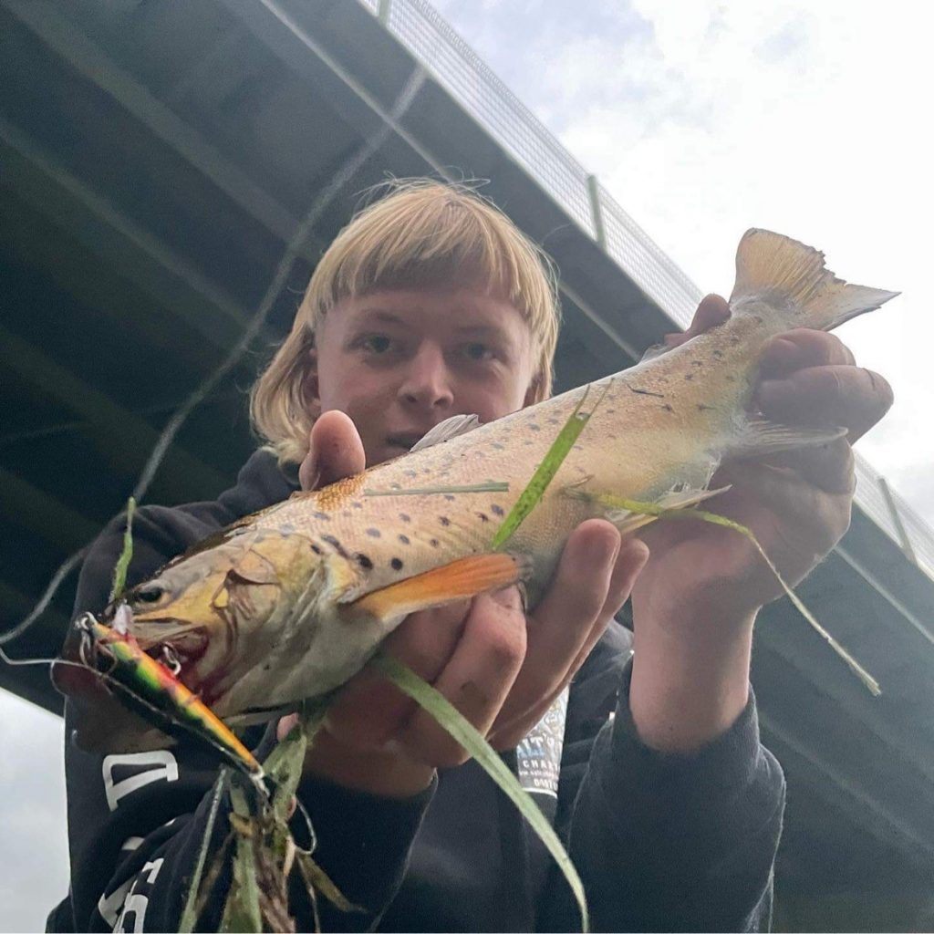 With the rain comes the Trout