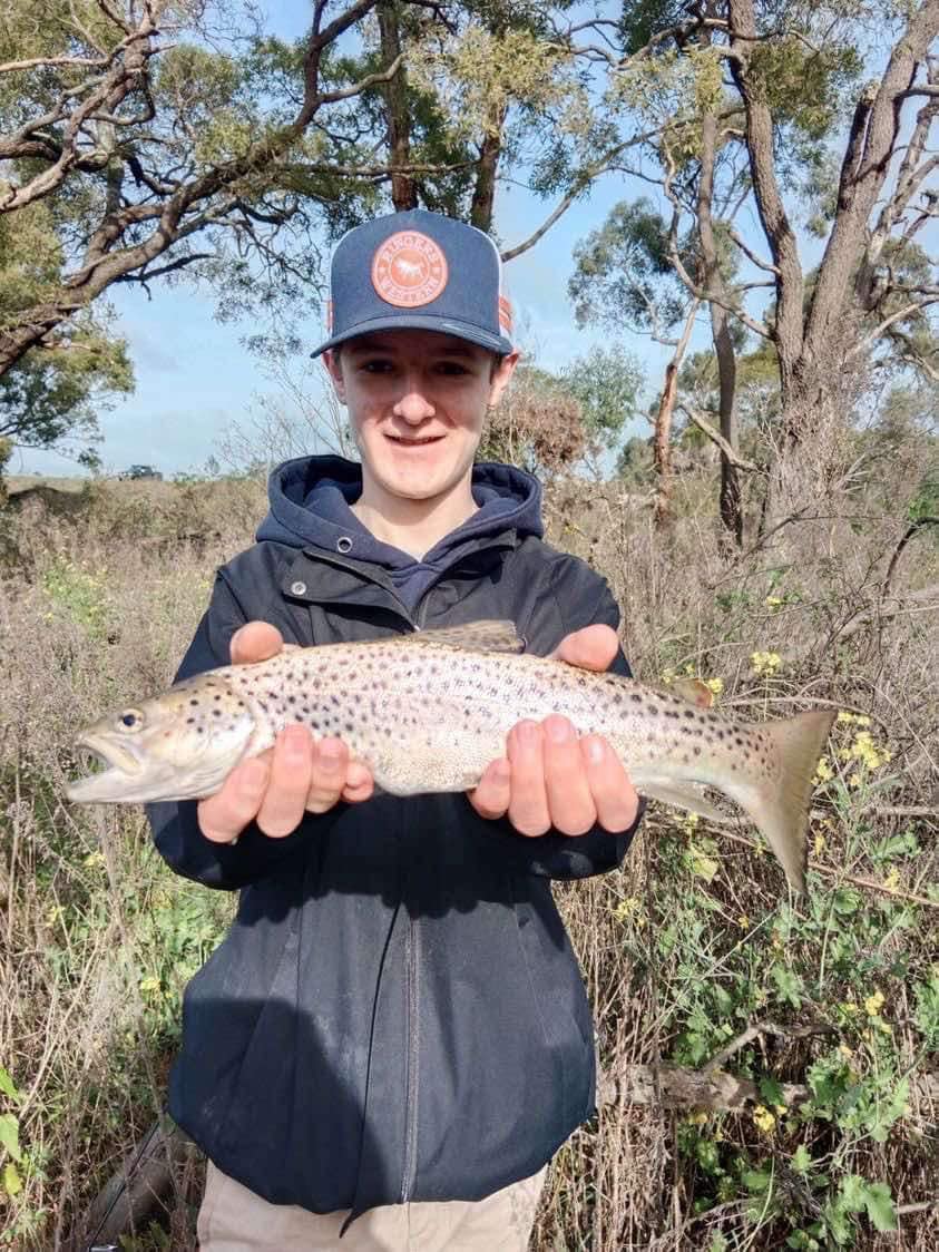 Mount Emu Creek Trout