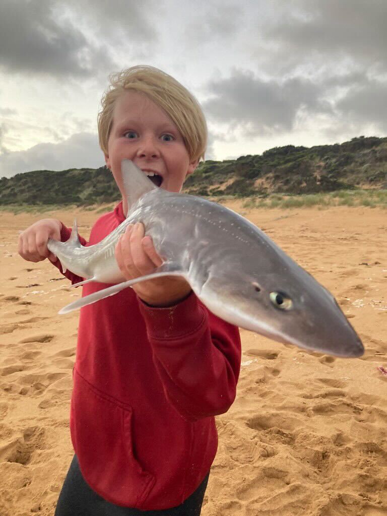 Beach Gummy