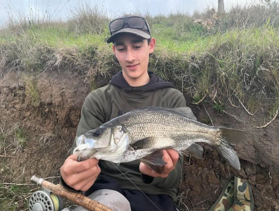 Hopkins River Perch