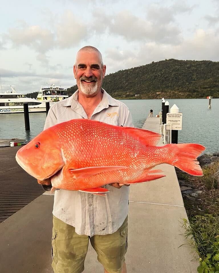 Whitsundays Emperor