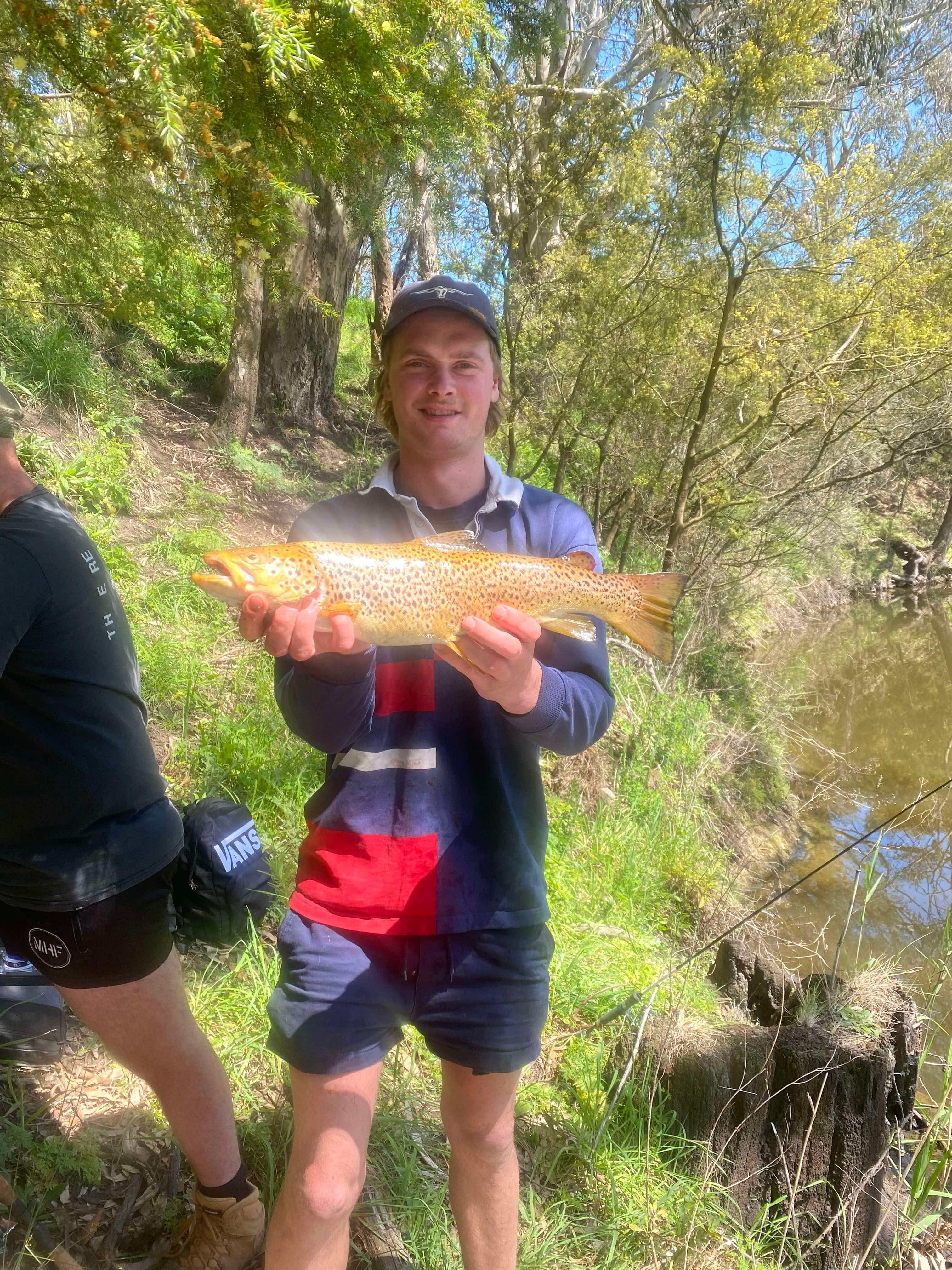 Mount Emu Trout