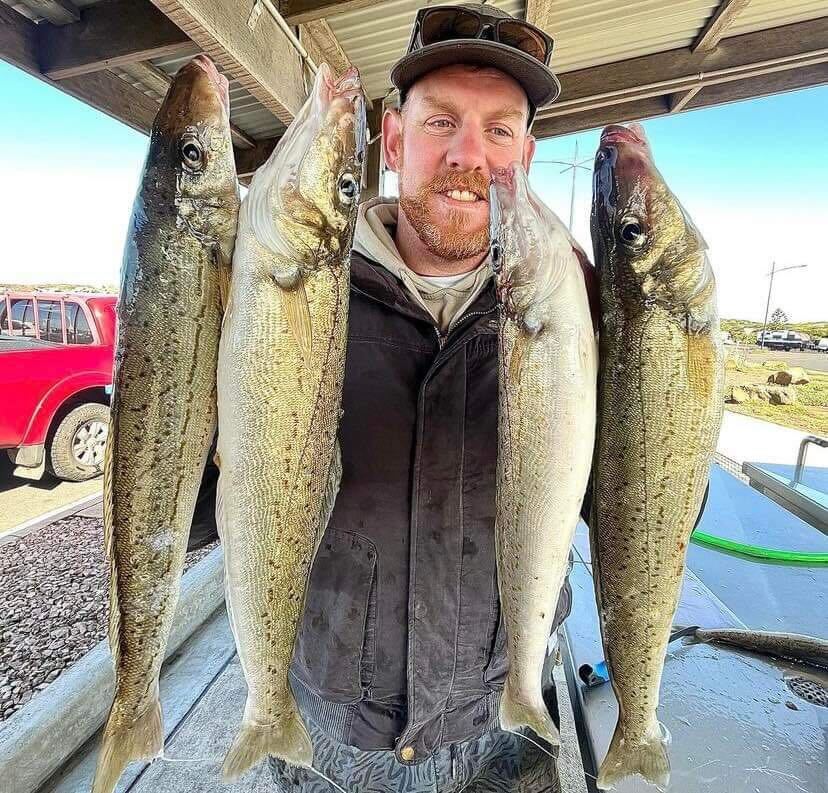 Tasty whiting feast