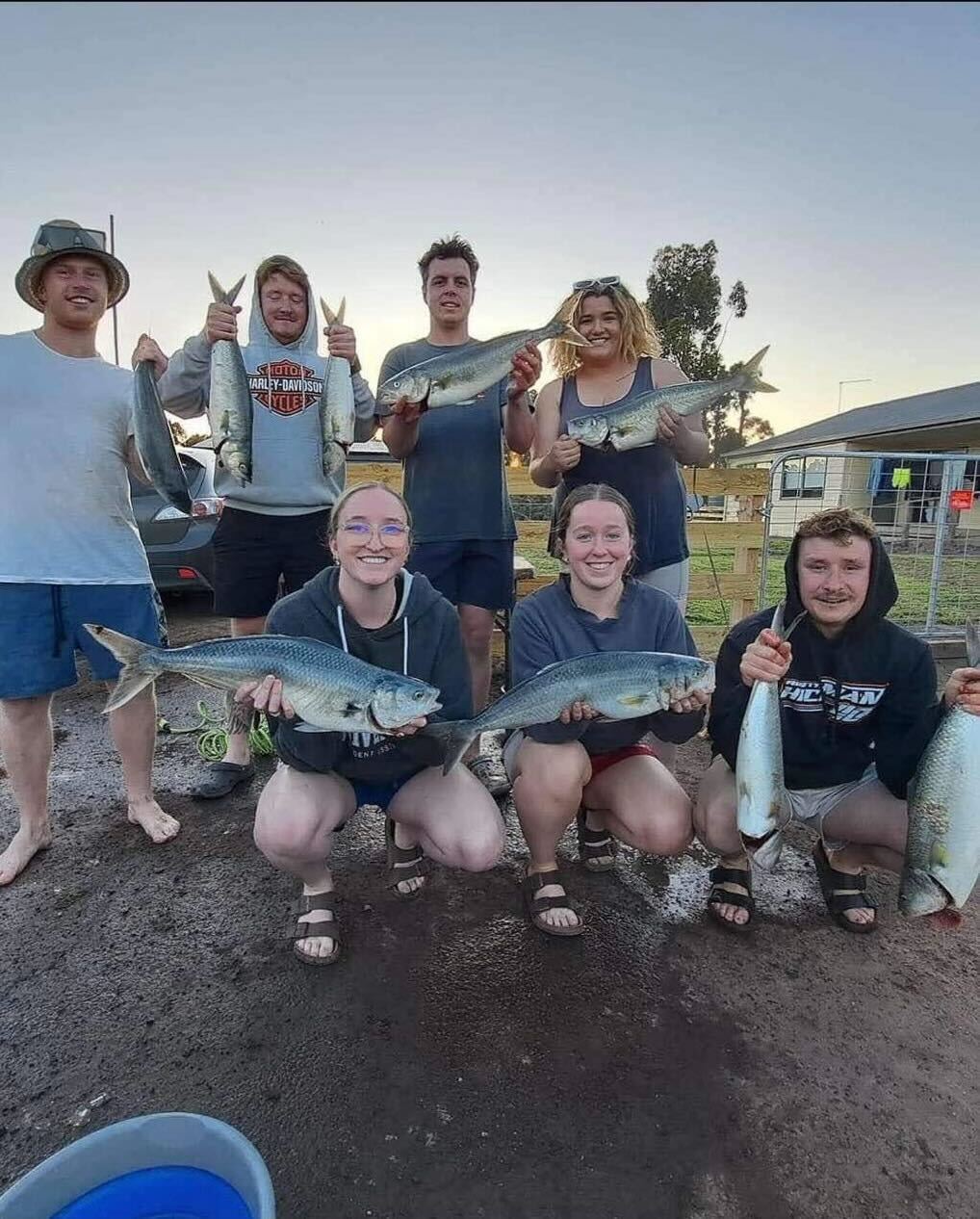 Salmon with friends