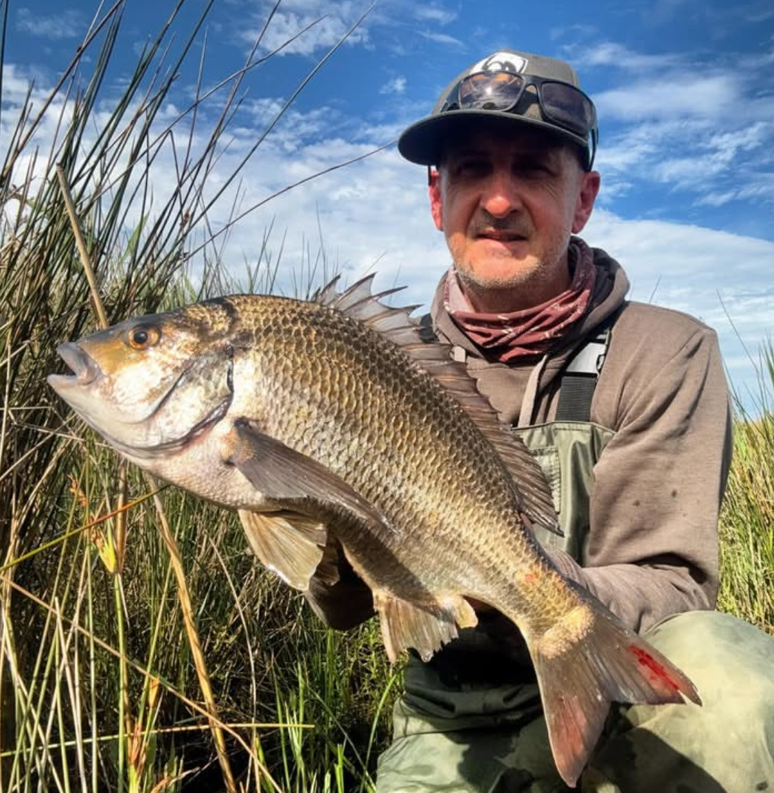 Local Bream