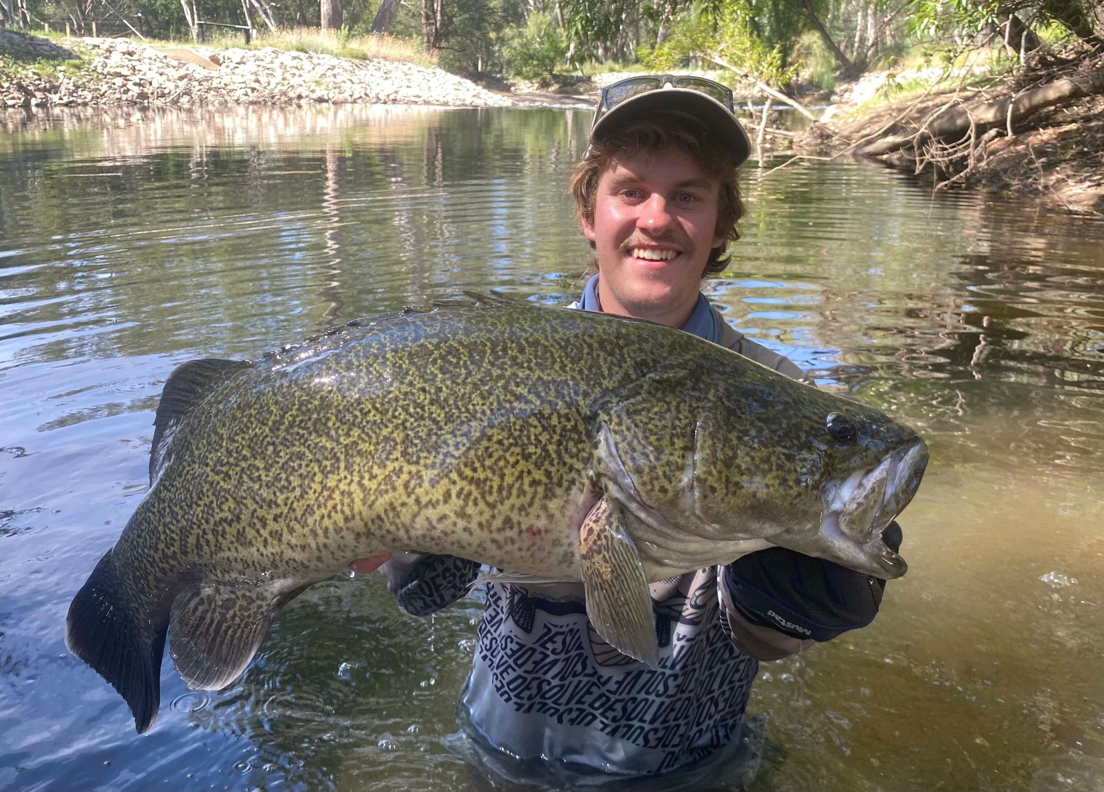 Wangaratta Cod