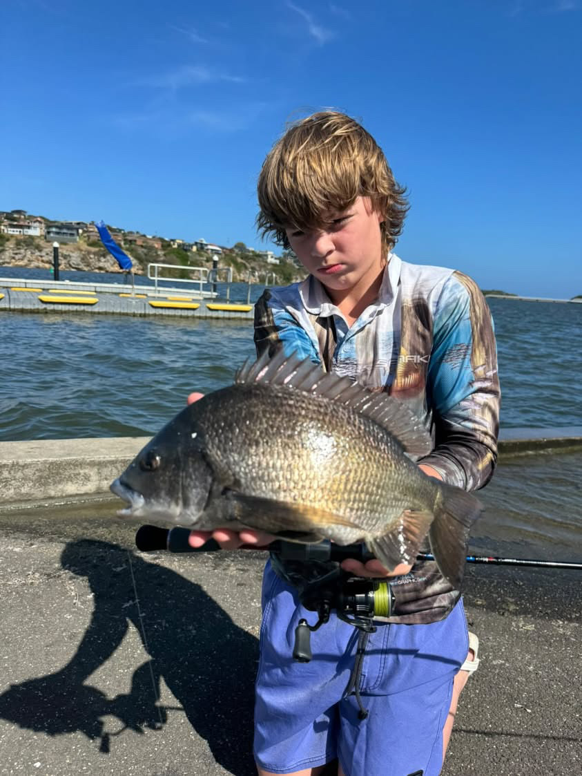 Hopkins river Bream